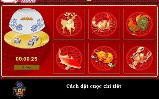 Cách đặt cược chi tiết