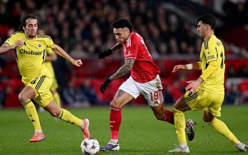 Cách chuyển đổi từ tỷ lệ Châu Âu sang kèo Châu Á chuẩn