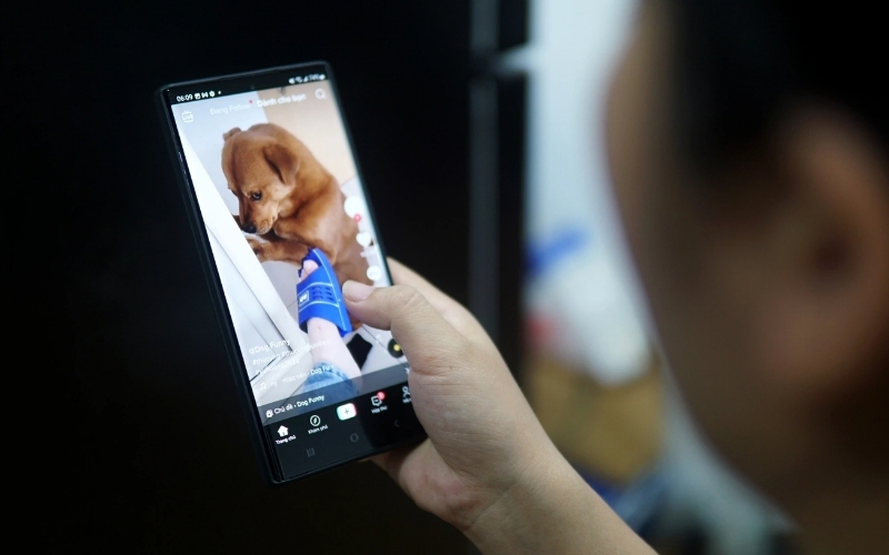 Tại sao Video ngắn (TikTok, Reels) lại thống trị thói quen của Gen Z